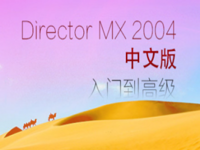 DirectorMX2004中文入门到高级视频教程