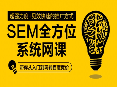 SEM搜索引擎竞价全方位系统网课视频教程