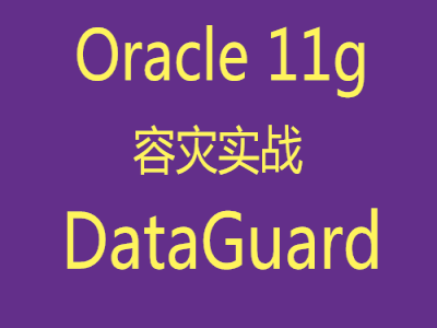 Oracle11g DataGuard容灾实施与维护实战视频课程