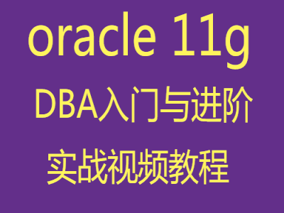 Oracle 11g数据库DBA入门与进阶视频教程