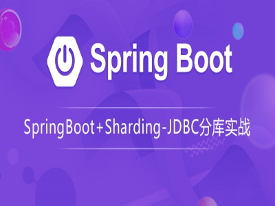 分库分表实战Spring Boot2+Sharding-JDBC视频教程