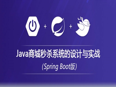 Java商城秒杀系统的设计与实战视频教程（SpringBoot版）