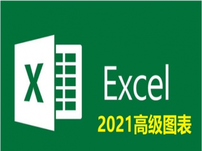 Excel 2021 高级商务图表视频教程