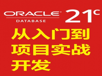 Oracle 21C 项目实战开发视频教程